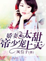 帝少娇宠小甜妻
