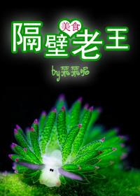 隔壁老王的梗的由来