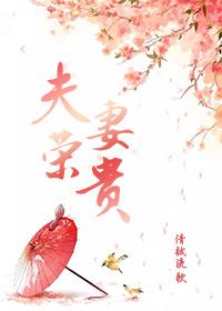 夫荣妻贵最经典十句话