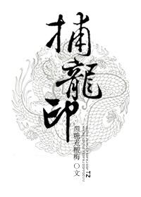 捕龙印免费阅读
