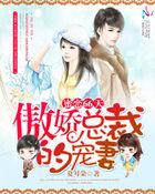 蜜恋绝宠
