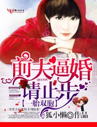 一胎双包胎老婆太给力了免费全文阅读