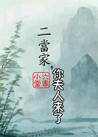 二当家是谁