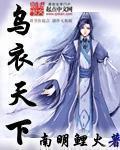 乌衣指什么