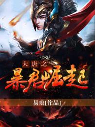 大唐之暴君的儿子飞卢