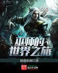 巫师世界介绍