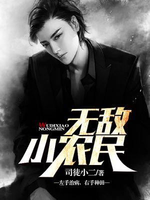 无敌小农民征服美女系统