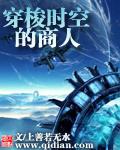 穿梭时空的商人卢雪