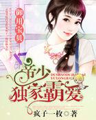 帝少专宠霸妻3