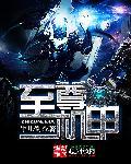 至尊机甲拼装风