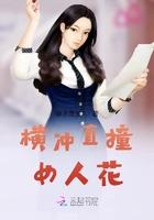电视剧横冲直撞
