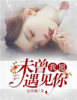 我愿从未遇见你