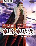 海贼王克洛克达尔手下