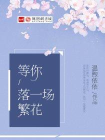 看一场花开