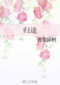 归途之路是什么意思