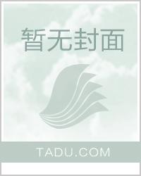 三国之武盖