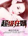 超级狂婿君天