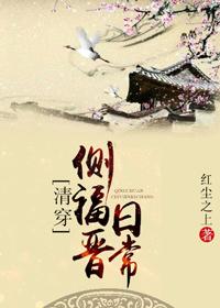 侧福晋清穿日常 作者娲皇