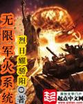 无限军火系统爆打各国