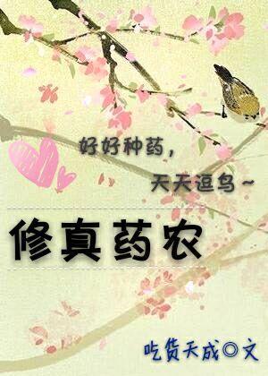 修仙药材
