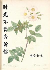 时光不曾停留下一句