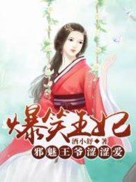 爆笑王妃王爷惹不起免费阅读