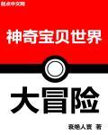神奇宝贝 大冒险