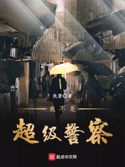 类似我不是超级警察的