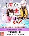 小夫人什么意思