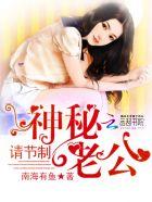神秘老公求休战免费阅读