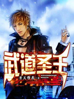 武道圣王-圣天尊者