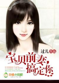 宝贝前夫免费阅读全文