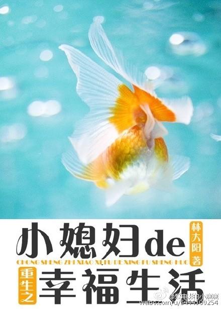 重生小媳妇的幸福生活