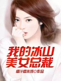 我的冰山美女总裁改编
