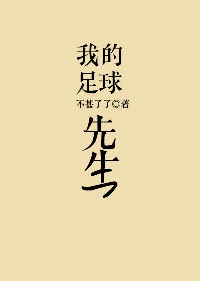 我的足球先生作者不甚了了