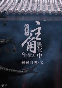 书穿之主角已黑化txt