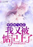 苏轩肖雅是什么