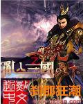 三国乱入猛将