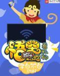 悟空看私聊 全本