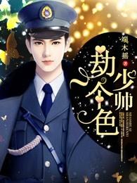 少帅什么意思?