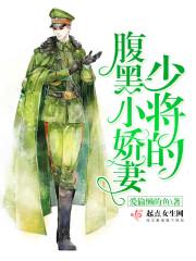 少将的黑道小妻