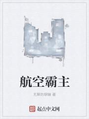 航空霸业航线用几架飞机