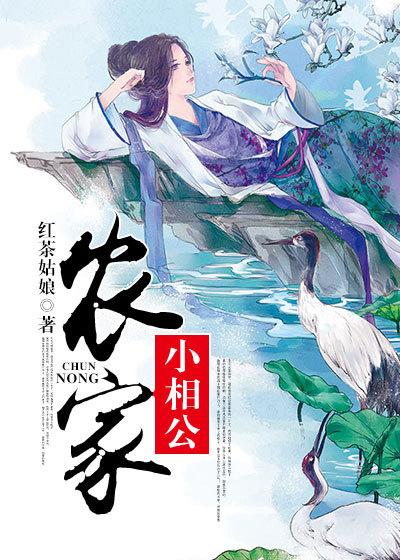 农家小夜妻相公