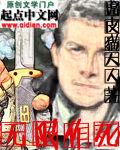 无限作死太监的可惜了