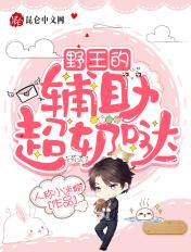 野王的辅助名字