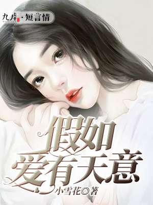 假如爱有天意结局