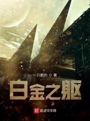 白金之国是指哪里