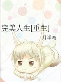 完美人生全本在线阅读