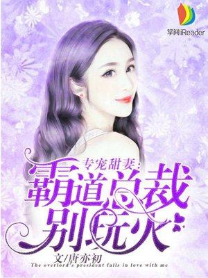 霸道专宠老婆别乱撩