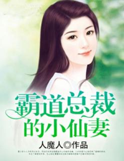 霸道总裁小仙妻